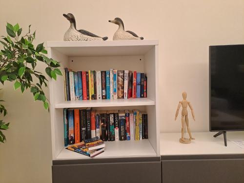 two ducks sitting on a book shelf with books at La Corticella in Lucca