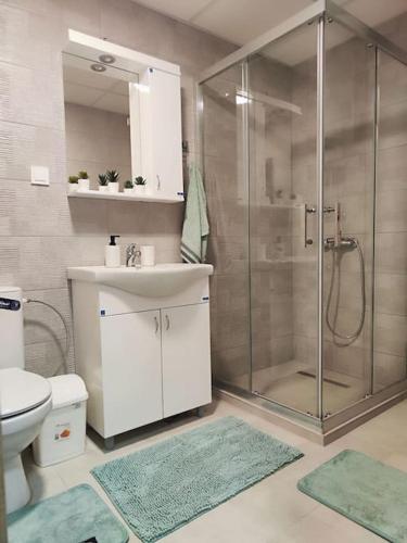 un bagno con doccia, lavandino e WC di MINT Apartment a Skopje