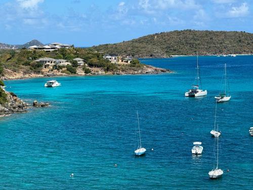 a group of boats in a large body of water at St Thomas -Spectacular Views of St John- Ocean Front! in St Thomas