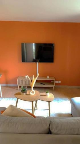 un salon avec un canapé et une télévision à écran plat dans l'établissement Super T2 meublé en bord de seine, à Villeneuve-le-Roi