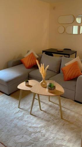 un salon avec un canapé et une table dans l'établissement Super T2 meublé en bord de seine, à Villeneuve-le-Roi