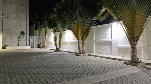 a row of palm trees in front of a building at Hotel Santa Fe in Tuxtla Gutiérrez