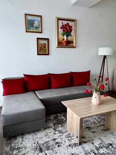 a living room with a gray couch with red pillows at Lakeview Apartments Dimi in Star Dojran
