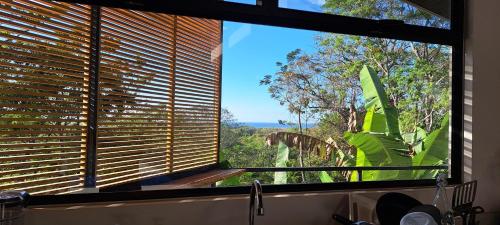 諾薩拉的住宿－Casa Kapai，厨房里的一个窗户,享有树景