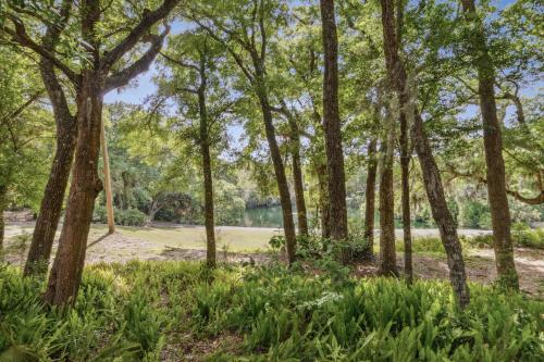 a view of a park with trees and grass at 2009 Beach Wood in Amelia Island