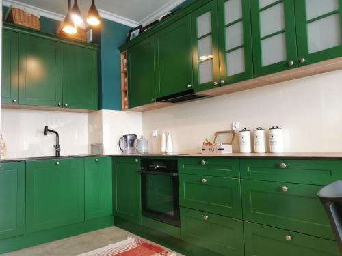 eine grüne Küche mit grünen Schränken und einem Waschbecken in der Unterkunft Green&Wood in Puck
