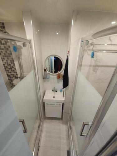 une salle de bain avec une douche, un lavabo et un miroir dans l'établissement 4 Chambres television -Jean Macé, à Fontenay-sous-Bois