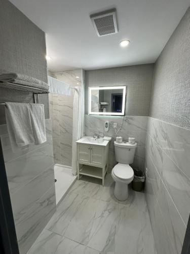 a bathroom with a toilet and a sink and a shower at Hotel Fuego Bronx in Bronx