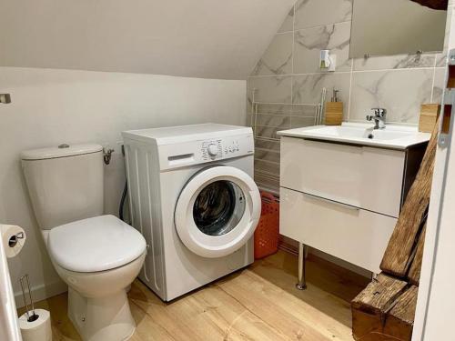 une salle de bain avec une machine à laver et un lavabo dans l'établissement Appartement cosy centre ville, à Saint-Amand-Montrond