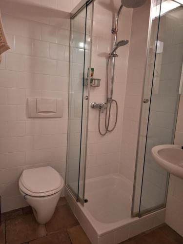 a bathroom with a shower and a toilet and a sink at Apartment Altwien in Vienna