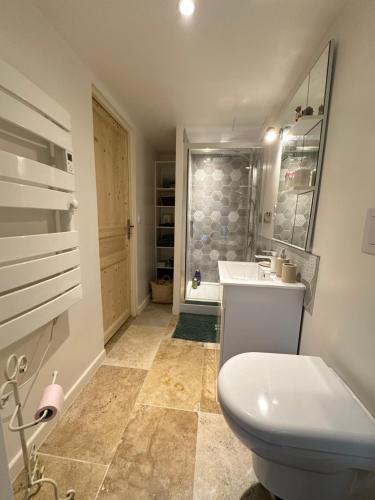 a bathroom with a toilet and a sink at Chambre indépendante au calme in Lamonzie-Montastruc