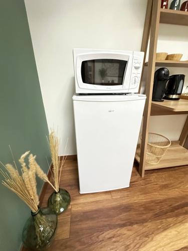 a microwave sitting on top of a white refrigerator at Chambre indépendante au calme in Lamonzie-Montastruc