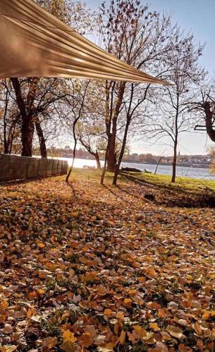 a person holding an umbrella over a pile of leaves at River House in Belgrade