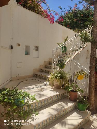um conjunto de escadas com vasos de plantas sobre eles em Villa avec j'ardin em Ariana