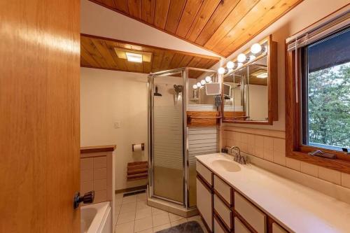 een badkamer met een douche, een wastafel en een spiegel bij Cabin in Remer in Remer