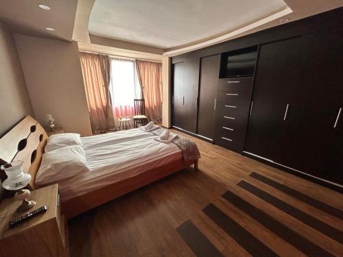 - une chambre avec un grand lit et une télévision dans l'établissement IANIS Apartment, à Orăştie