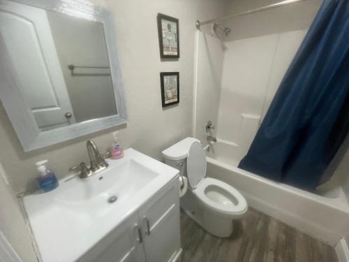 a bathroom with a toilet and a sink and a mirror at The karaoke palace! in Fort Worth