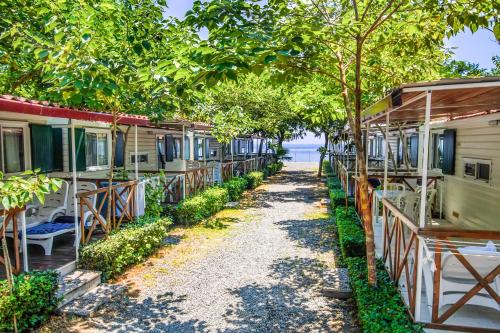 a row of camping cottages under trees at Camping La Focetta Sicula in SantʼAlessio Siculo