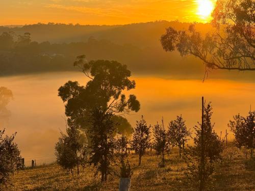 a misty sunrise over a river with trees in the foreground at Wake Up to Stunning Views - Luxury Counrty Escape by Scotch Hill Truffle Farm in Neerim South