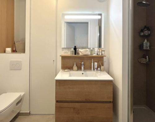 une salle de bain avec un lavabo et un miroir dans l'établissement Appartement 2 pièces 30min du centre de Paris, à Clichy