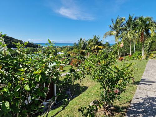a garden with plants and trees and the ocean at La Colline Verte in Deshaies