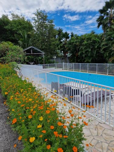 a white fence next to a swimming pool with flowers at La Colline Verte in Deshaies