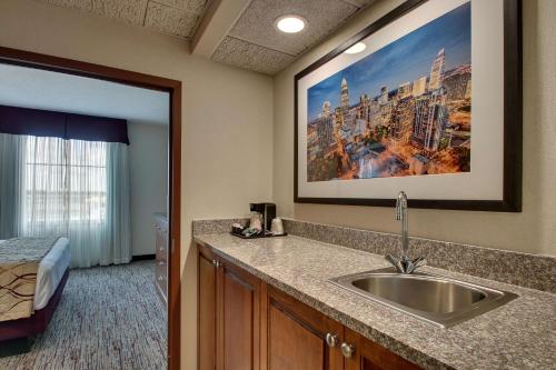 Drury Inn & Suites Charlotte Northlake في تشارلوت: حمام مع حوض في غرفة الفندق