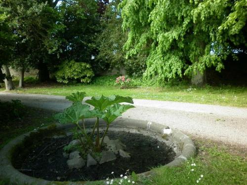a plant in a pot on the side of a road at Manoir de la Baronnie in Saint Malo
