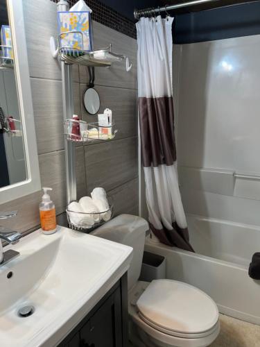 a bathroom with a sink and a toilet and a shower at West Side Grand Rapids 2 room apartment close to everything in Grand Rapids