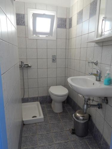 アイオス・キリコスにあるAkti Pensionのトイレと洗面台付きのバスルーム