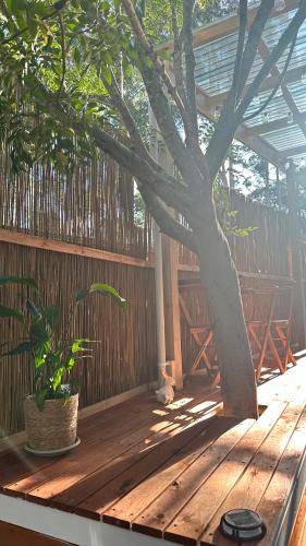 a tree sitting on a wooden deck next to a tree at Tiny Amor in Berkeley Vale