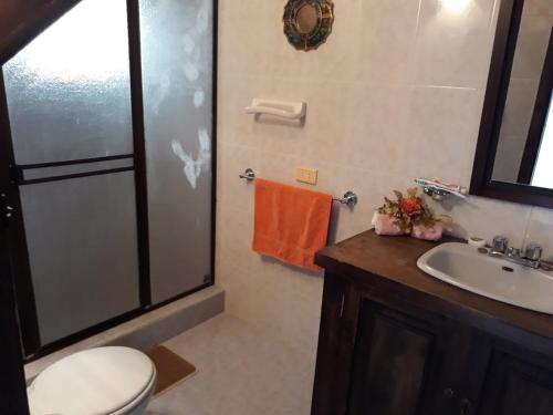 ein Bad mit einem WC, einem Waschbecken und einer Dusche in der Unterkunft Casa Heesen Mague in Susa