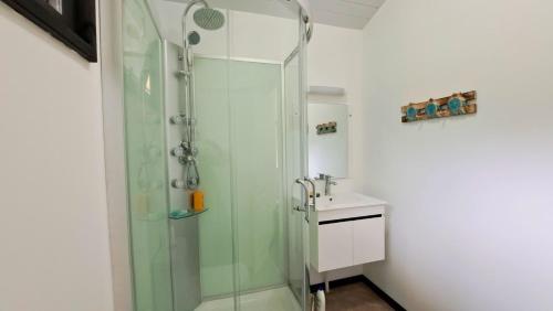 y baño con ducha acristalada y lavamanos. en MOOREA - Oceanie Lodge, en Pihaena