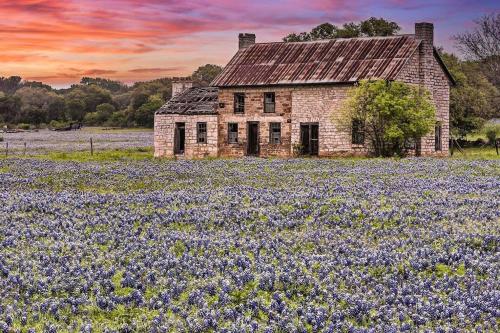 an old stone house in a field of purple flowers at A Rare Find! - Bright & Gorgeous Lake Home in Marble Falls in Marble Falls