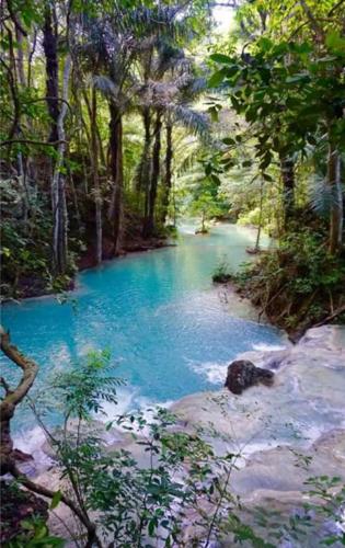 a pool of blue water in the middle of a forest at Sunset Moyo Bungalows in Moyo Island