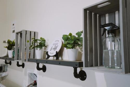a shelf with plants and a bottle on it at Centrally Located! Remodeled! Huge Backyard! The White House in Albuquerque