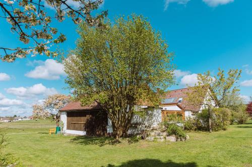 uma casa com uma árvore num campo em Idyllisches Landhaus mit Teich 