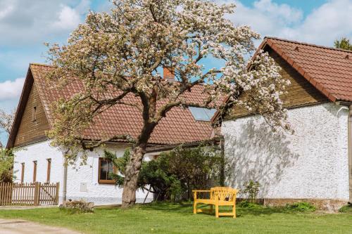 un árbol frente a una casa blanca con un banco en Idyllisches Landhaus mit Teich, 