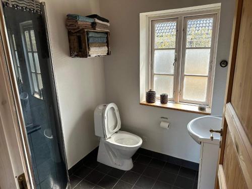 a bathroom with a toilet and a shower and a sink at Holiday home Kibæk in Kibæk