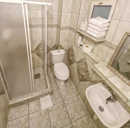 ein Bad mit einem WC, einer Dusche und einem Waschbecken in der Unterkunft KRK stop in Cholerzyn