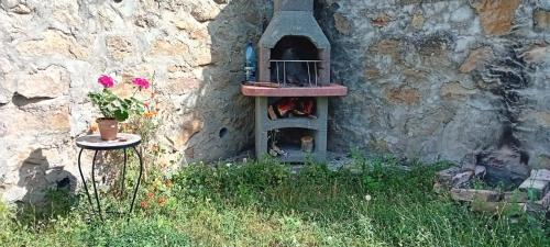 Сад в Casa Turcoaz
