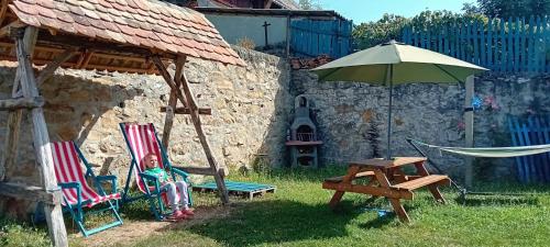 a patio with two chairs and an umbrella and a table at Casa Turcoaz in Sviniţa
