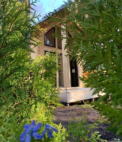 a house with a window and some plants at Sea House in Saulkrasti