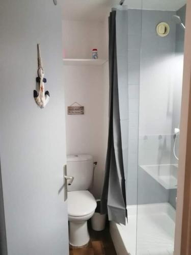 une salle de bain avec toilettes et douche en verre dans l'établissement Studio - piscine, proche de la plage et du port, au Cap d'Agde