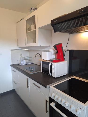 a small kitchen with a microwave and a sink at Appartement au calme avec balcon proche Genève in Gaillard