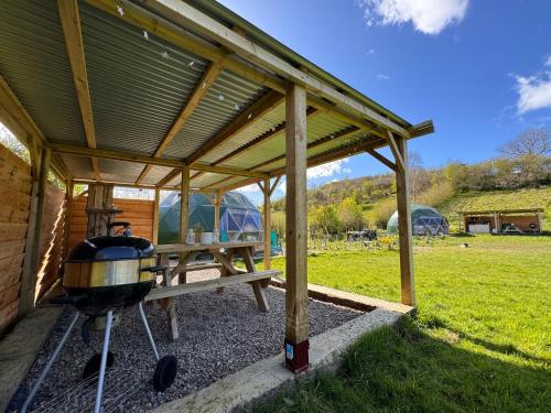 a wooden pavilion with a grill and a picnic table at Geodesic Dome Glamping in Llanidloes