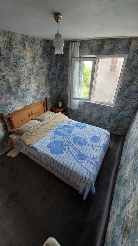 a bedroom with a bed in a room with a window at Guesthouse Angelina-Koko in Sighnaghi