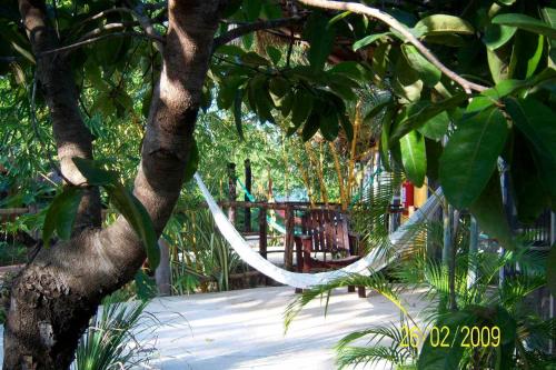 a hammock hanging from a tree in a garden at Casa Don Diego in Tulum