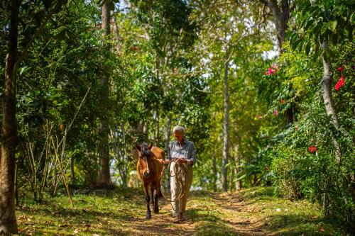 a man walking a horse down a dirt road at Isla's Ridge - A CGH Earth SAHA Experience in Kodaikānāl