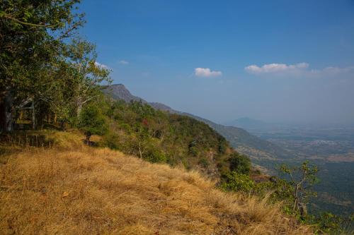 a grassy hill with trees on the side of it at Isla's Ridge - A CGH Earth SAHA Experience in Kodaikānāl